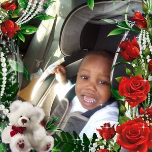 Meet your Posher, Annie